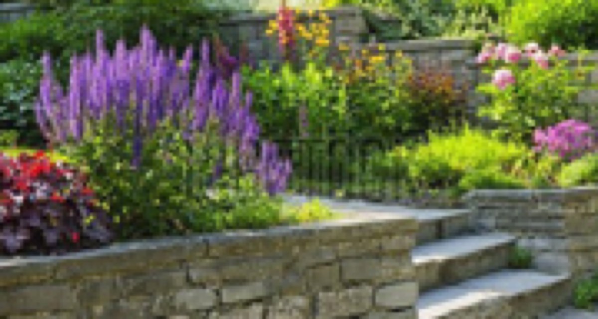 Residential Hardscape and Garden